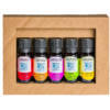 Herbarom, tienda online de aceites vegetales: Aceites esenciales Kit composiciones