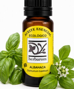 Aceite esencial ALBAHACA   Bio  10 ml.  (Ocimum basilicum)