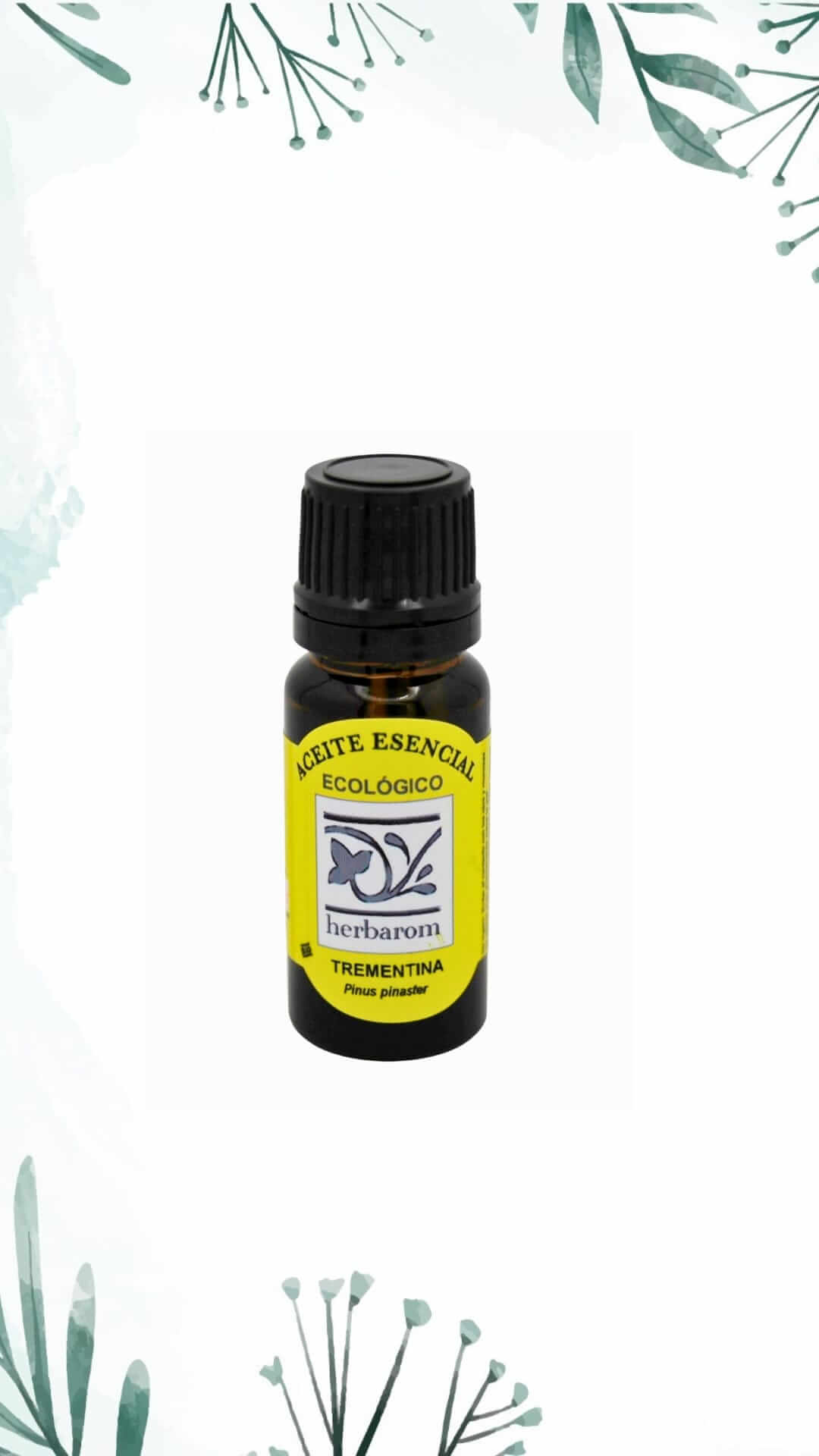 Aceite esencial de TREMENTINA 100% puro y natural Bio 10 ml. (Pinus pinaster)