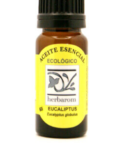 Aceite esencial EUCALIPTUS 100% puro y natural Bio (Eucaliptus globulus)