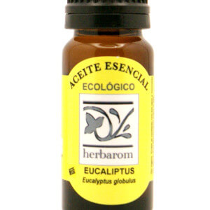 EUCALIPTUS  Aceite esencial Bio  (Eucaliptus globulus)