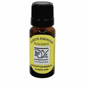 EUCALIPTUS  RADIATTA Aceite esencial Bio  (Eucaliptus radiatta)