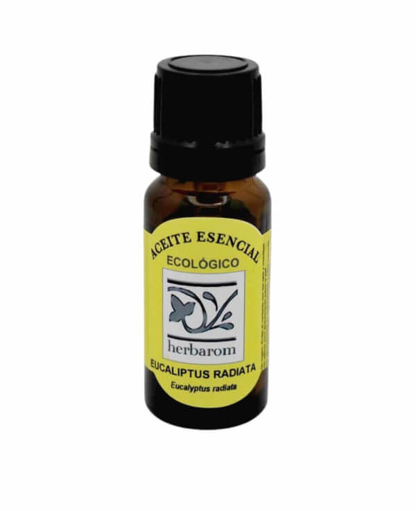 EUCALIPTUS  RADIATTA Aceite esencial Bio  (Eucaliptus radiatta)