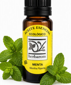 Aceite esencial  MENTA 100% puro y natural Bio  10 ml.  (Mentha piperita)